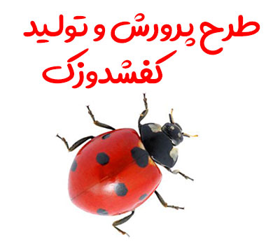 طرح پرورش و تولید کفشدوزک